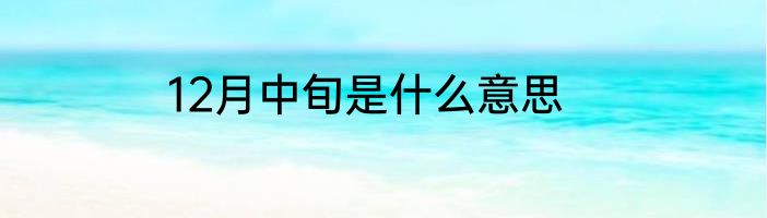 12月中旬是什么意思