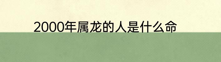 2000年属龙的人是什么命