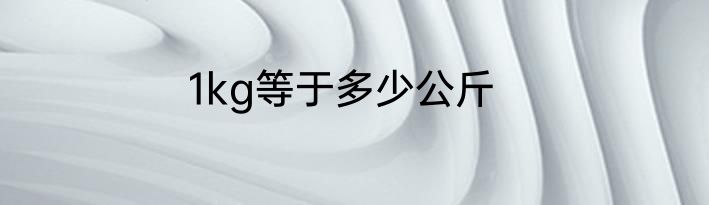 1kg等于多少公斤