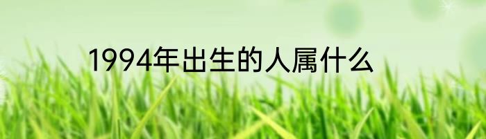 1994年出生的人属什么