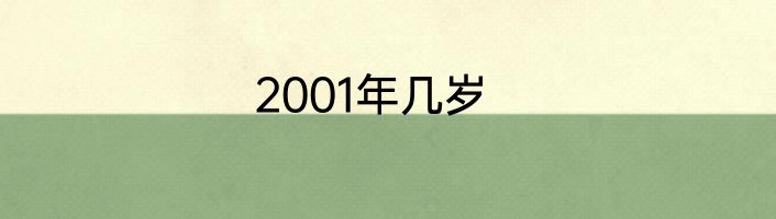 2001年几岁