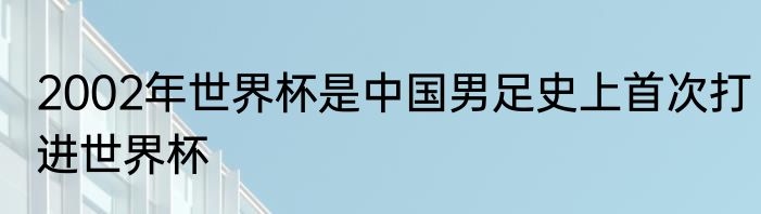 2002年世界杯是中国男足史上首次打进世界杯