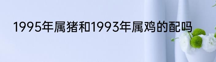 1995年属猪和1993年属鸡的配吗