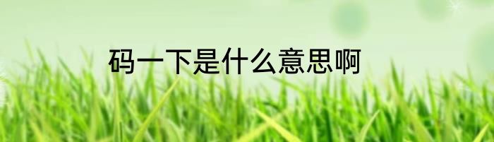 码一下是什么意思啊