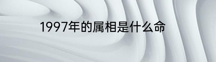 1997年的属相是什么命
