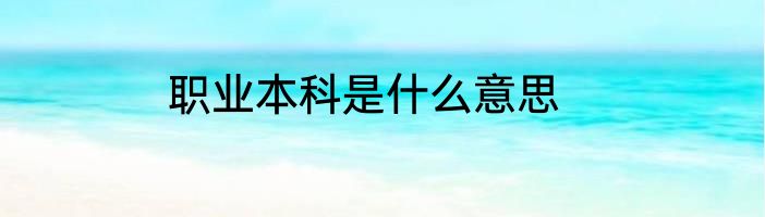职业本科是什么意思