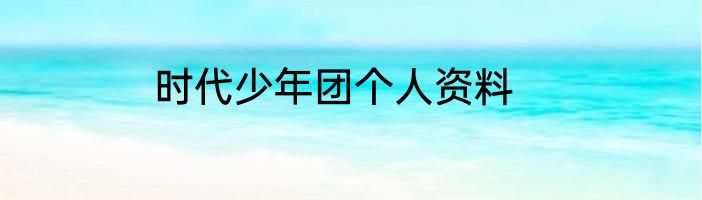 时代少年团个人资料