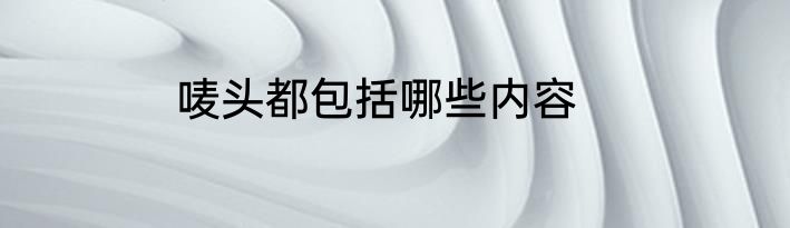唛头都包括哪些内容