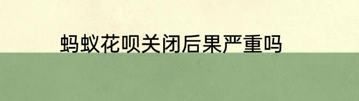 蚂蚁花呗关闭后果严重吗
