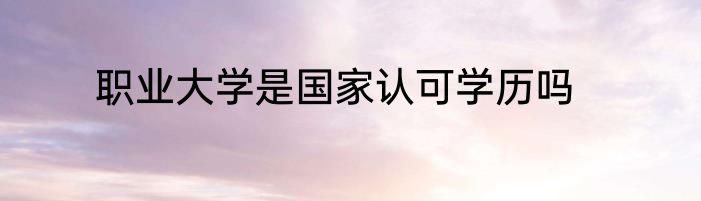 职业大学是国家认可学历吗