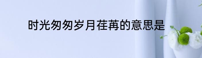 时光匆匆岁月荏苒的意思是