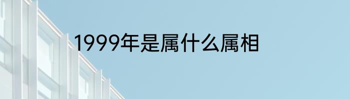 1999年是属什么属相