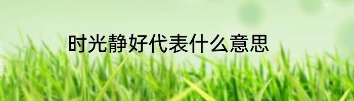 时光静好代表什么意思