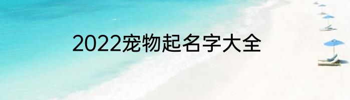 2022宠物起名字大全