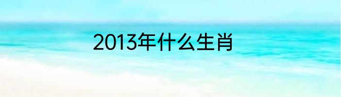 2013年什么生肖