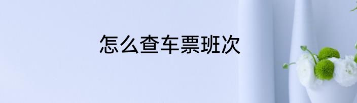 怎么查车票班次