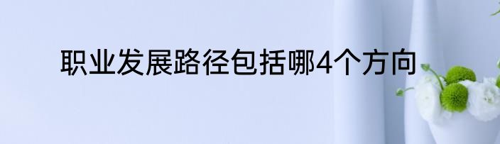 职业发展路径包括哪4个方向