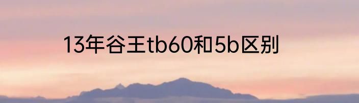 13年谷王tb60和5b区别