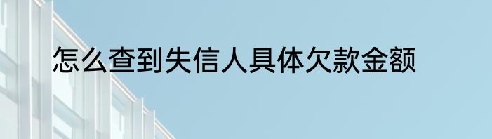 怎么查到失信人具体欠款金额