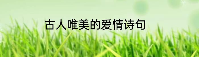 古人唯美的爱情诗句