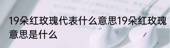 19朵红玫瑰代表什么意思19朵红玫瑰意思是什么