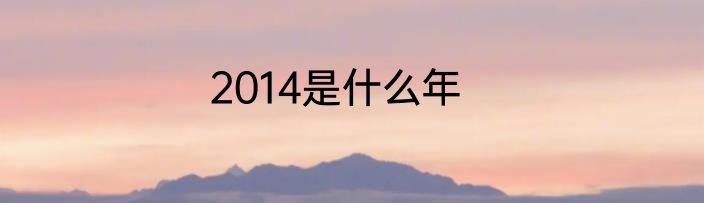 2014是什么年