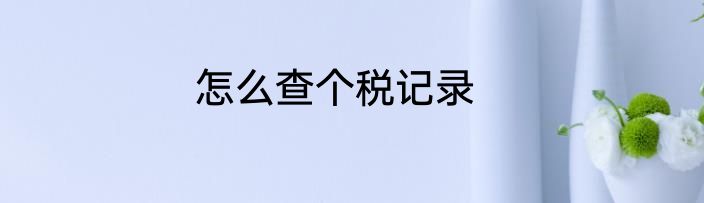 怎么查个税记录
