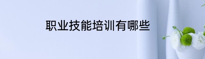 职业技能培训有哪些