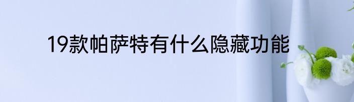 19款帕萨特有什么隐藏功能