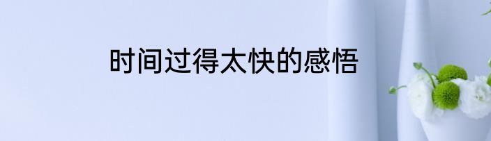 时间过得太快的感悟