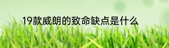 19款威朗的致命缺点是什么