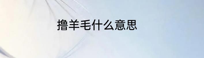 撸羊毛什么意思