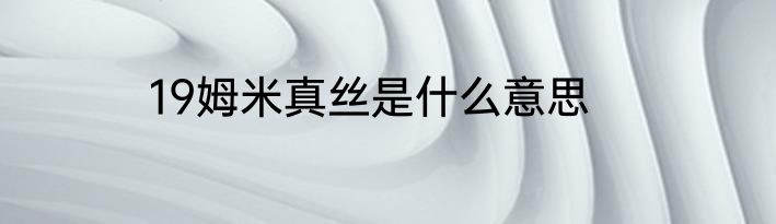 19姆米真丝是什么意思