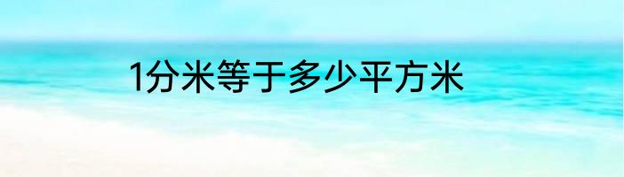 1分米等于多少平方米