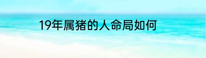 19年属猪的人命局如何
