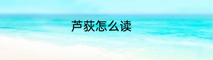芦荻怎么读