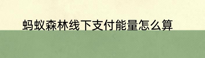 蚂蚁森林线下支付能量怎么算