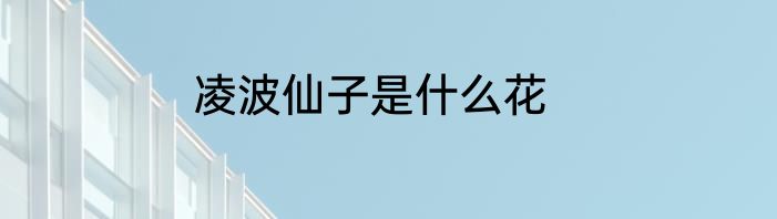 凌波仙子是什么花
