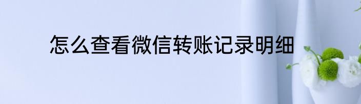 怎么查看微信转账记录明细