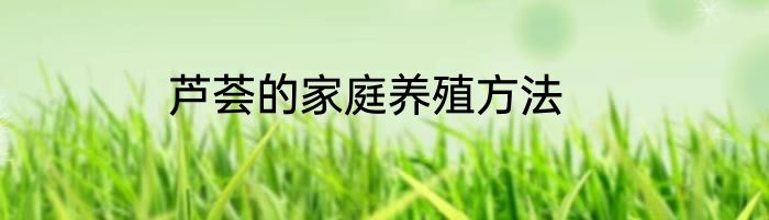 芦荟的家庭养殖方法