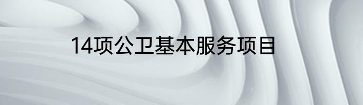 14项公卫基本服务项目