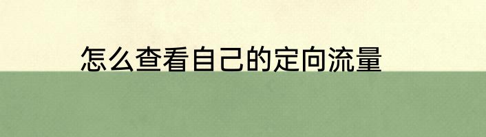 怎么查看自己的定向流量