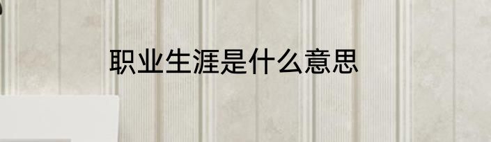 职业生涯是什么意思