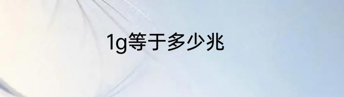 1g等于多少兆