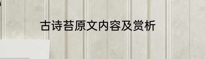 古诗苔原文内容及赏析