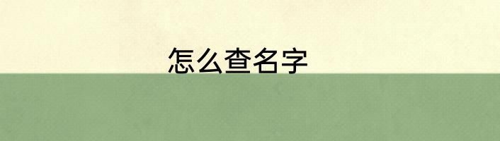怎么查名字