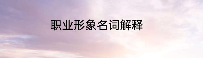 职业形象名词解释