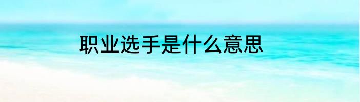 职业选手是什么意思