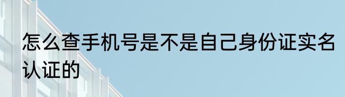 怎么查手机号是不是自己身份证实名认证的