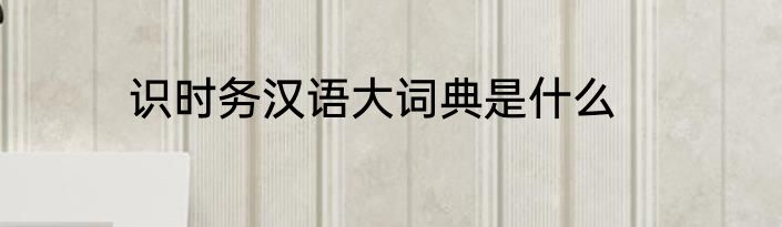 识时务汉语大词典是什么